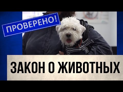 Памятка по ответственному обращению с животными Департамент ветеринарии Томской