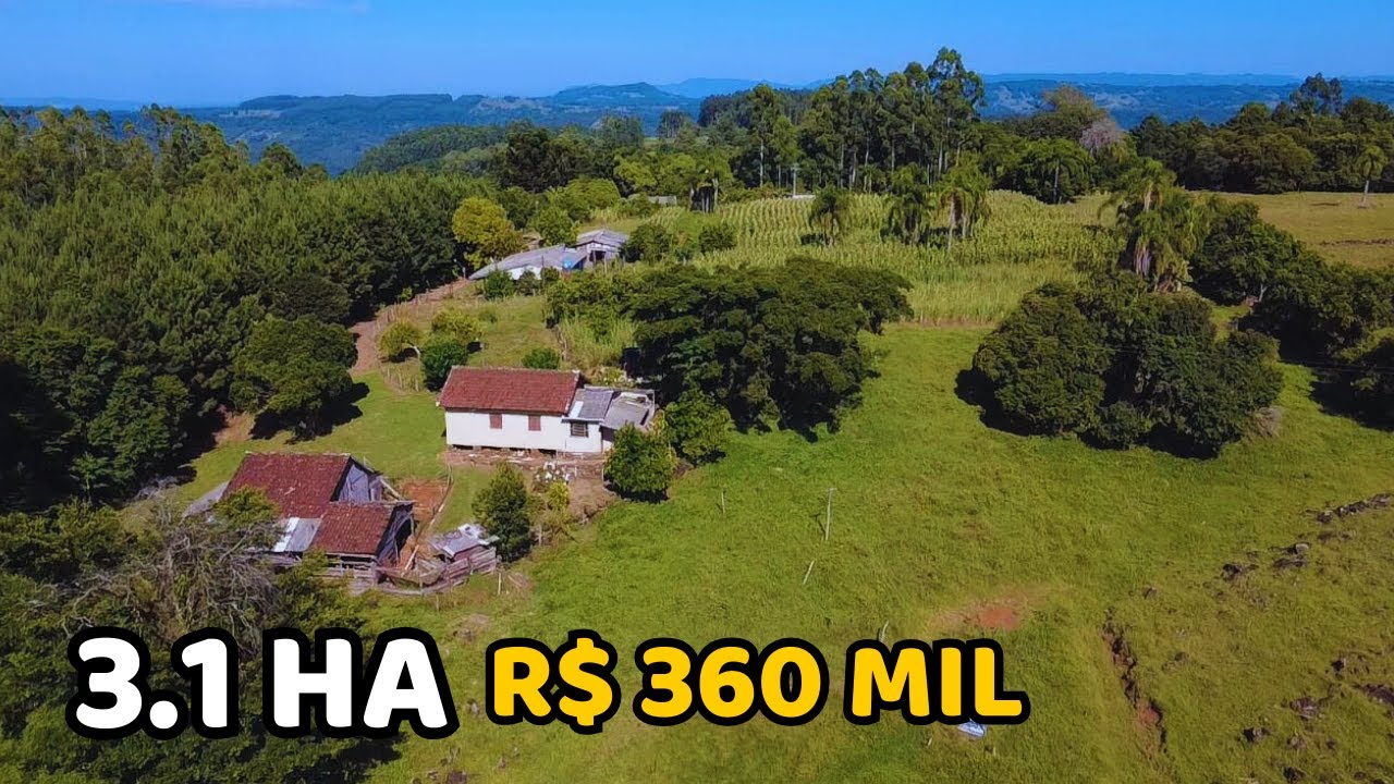 CHÁCARA 100% APROVEITÁVEL COM 2 CASAS 2 GALPÕES E MUITA ÁGUA À VENDA EM TAQUARA | R$ 360.000,00