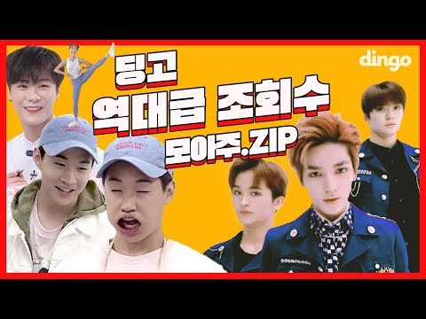 딩고가 🔥역대급 조회수🔥 영상들 모아주.ZIP  | 딩고.ZIP | 조회수 높은 편