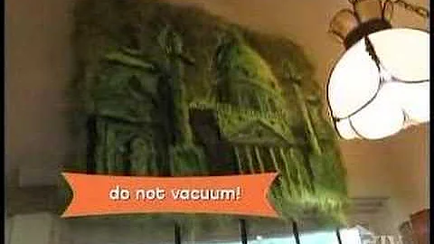 Kelly Lyles on "What's With That House?"
