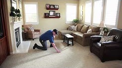 Carpet Cleaning and Upholstery Cleaning with Coit Services 