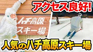 【スキー場紹介】人気のハチ高原スキー場に潜入！人気の秘密を探ってきました！