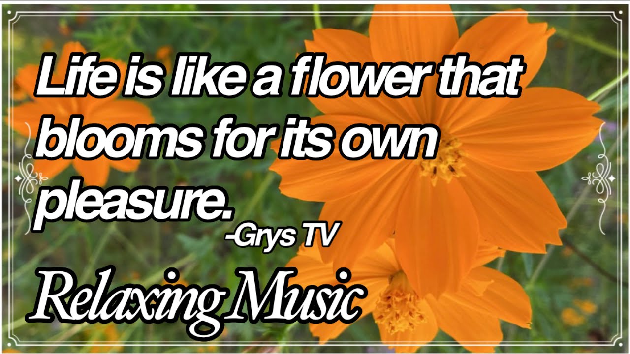 (Relaxing Music) Life is like a flower music relaxing flowers YouTube