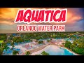 Aquatica Orlando Florida || seaworld orlando || Aquatica || Water Park