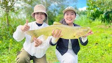 Buổi đi câu 2 chị em đụng cá Trắm cỏ quá to 