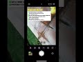 Boring selfies in the garden? NO WAY! #iphone#cameratips... #Shorts #byrvm_contentcreation