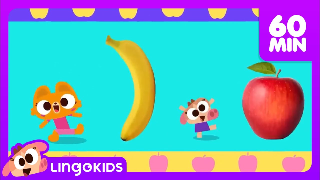 Who Took the Cookie ?🔎 🍪  + More Nursery Rhymes for Kids | Lingokids