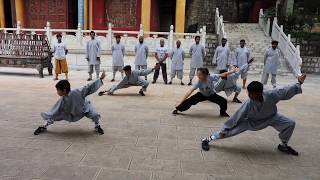 Make your decision and apply book place to train in the offical
shaolin temple yunnan branch kung fu department under direct guidance
of ...