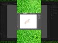 Simple Flower Design in Illustrator CC | How to Make a Realistic Flower in Illustrator #shorts