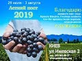 Online: ЛЕТНИЙ ПОСТ. ПОСОЛЬСТВО БОЖЬЕ. 30.07.19 (вечер)