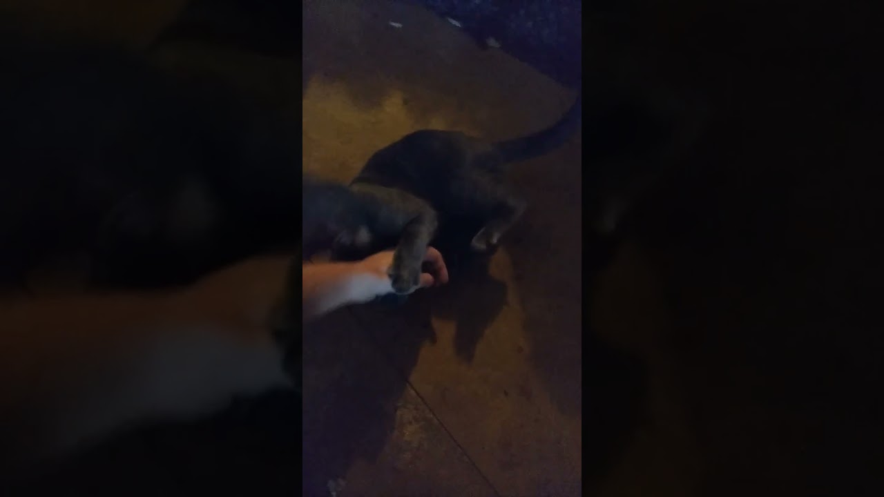 he's so cute they say 