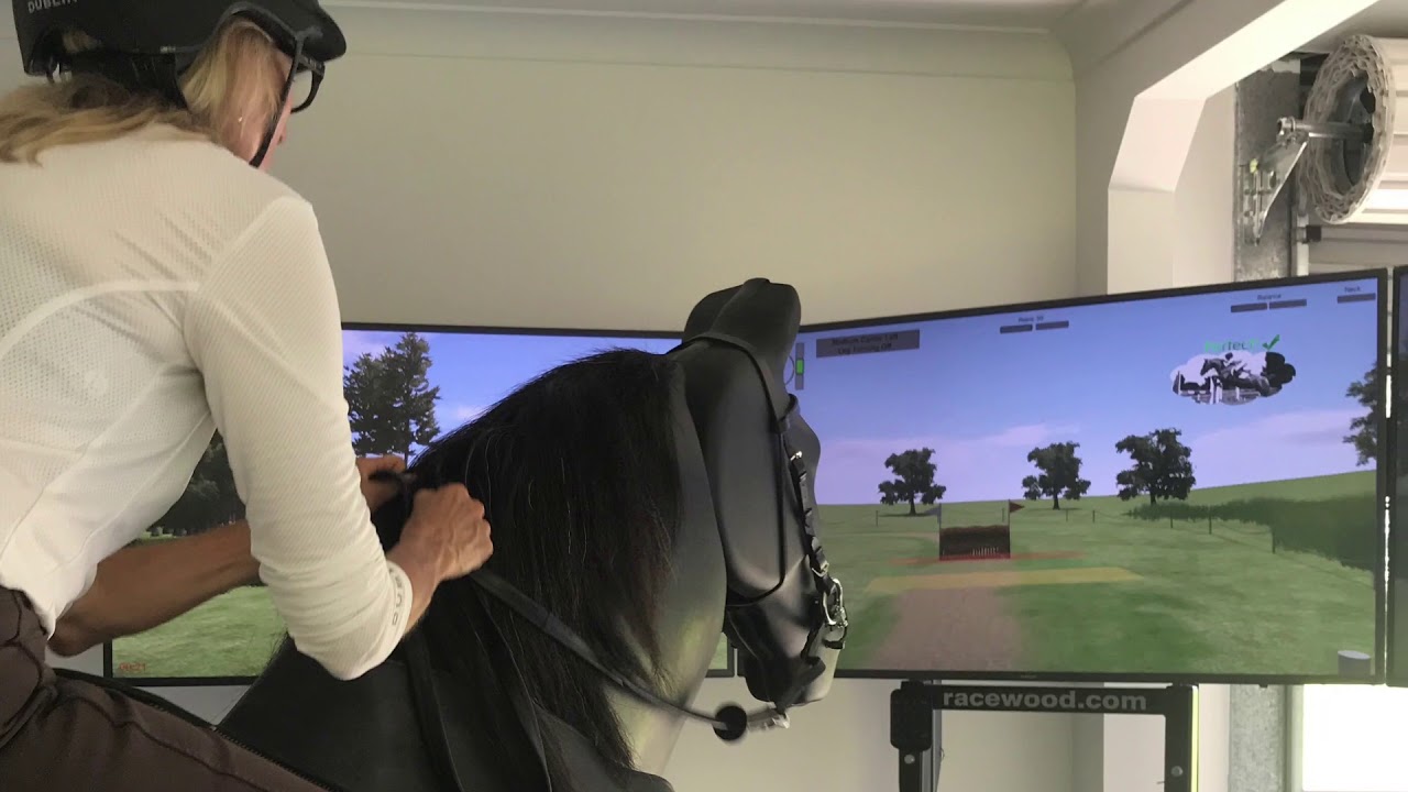 ride equestrian simulation developer