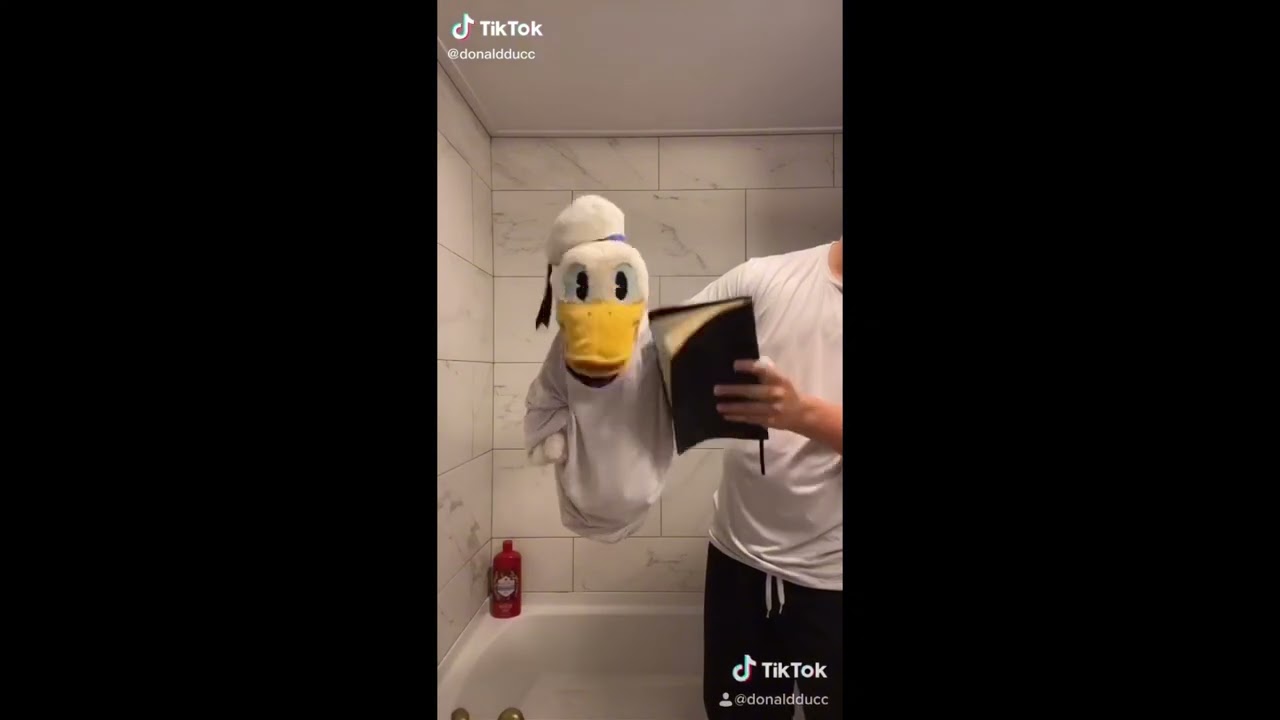 Lets Link Remix Song Donald Duck By The Learning Station