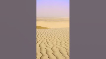 917* ماتيسر من سورة البقرة #عبد الرحمن العوسي #القرآن_الكريم #المصحف #القرآن #الذكر_الحكيم #