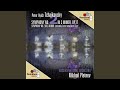 Miniature de la vidéo de la chanson Symphony No. 2 In C Minor, Op. 17 “Little Russian”: 2. Andantino Marziale, Quasi Moderato