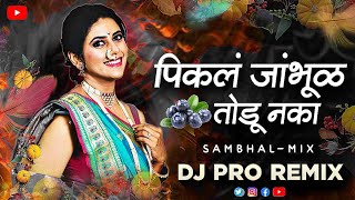 pikal jambhul todu naka dj song | sambhal mix | dj pro remix | Marathi lavni song dj |Marathi dj mix