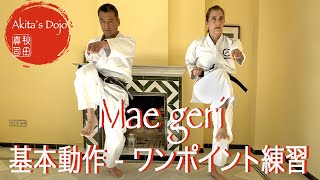 One point Training #4: Maegeri 空手の基本動作、前蹴り【Akita&#39;s Karate Video】HD 1080p