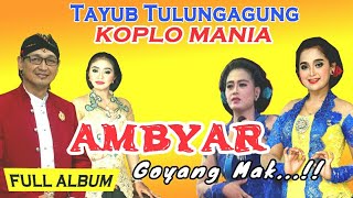 Tayub Tulungagung - Koplo Ambyar || Full Mp3