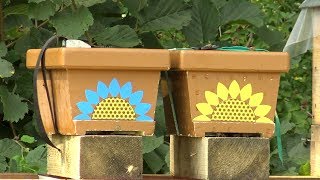 Imkerkurs 07. Juli 2018 Begattungskästchen