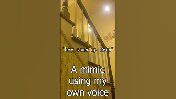 A mimic caught on camera using my voice