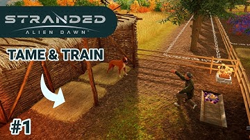 STRANDED ALIEN DAWN // 100% TAME CHANCE // TAME & TRAIN //  EP 1