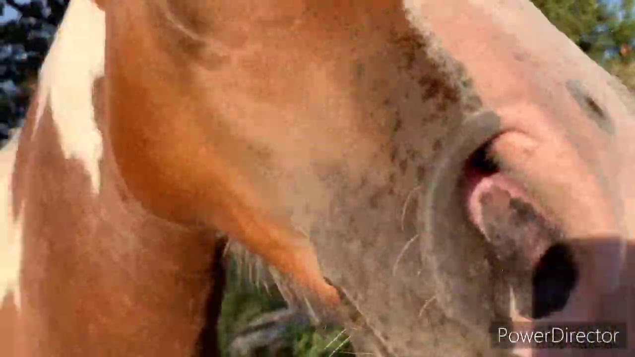 Happy Hour (1)_HD 720p_MEDIUM_FR30.mp4