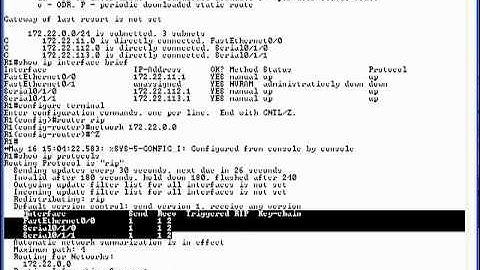 CCNA Lab 9 RIP Configuration.qt