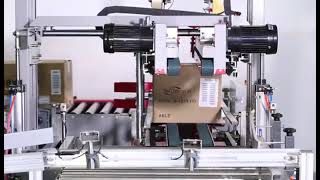 Flexible conveyor for carton transportation