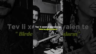 #kürtçe #ahmetkaya #youtubeshorts #yıldıztilbe #türküler #youtubevideo #keşfetbeniöneçıkar #takipet