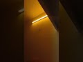 TY2-11- Checkout - 15/05/2026
