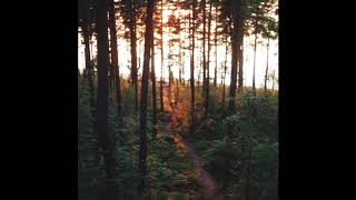 Nocow - Neva