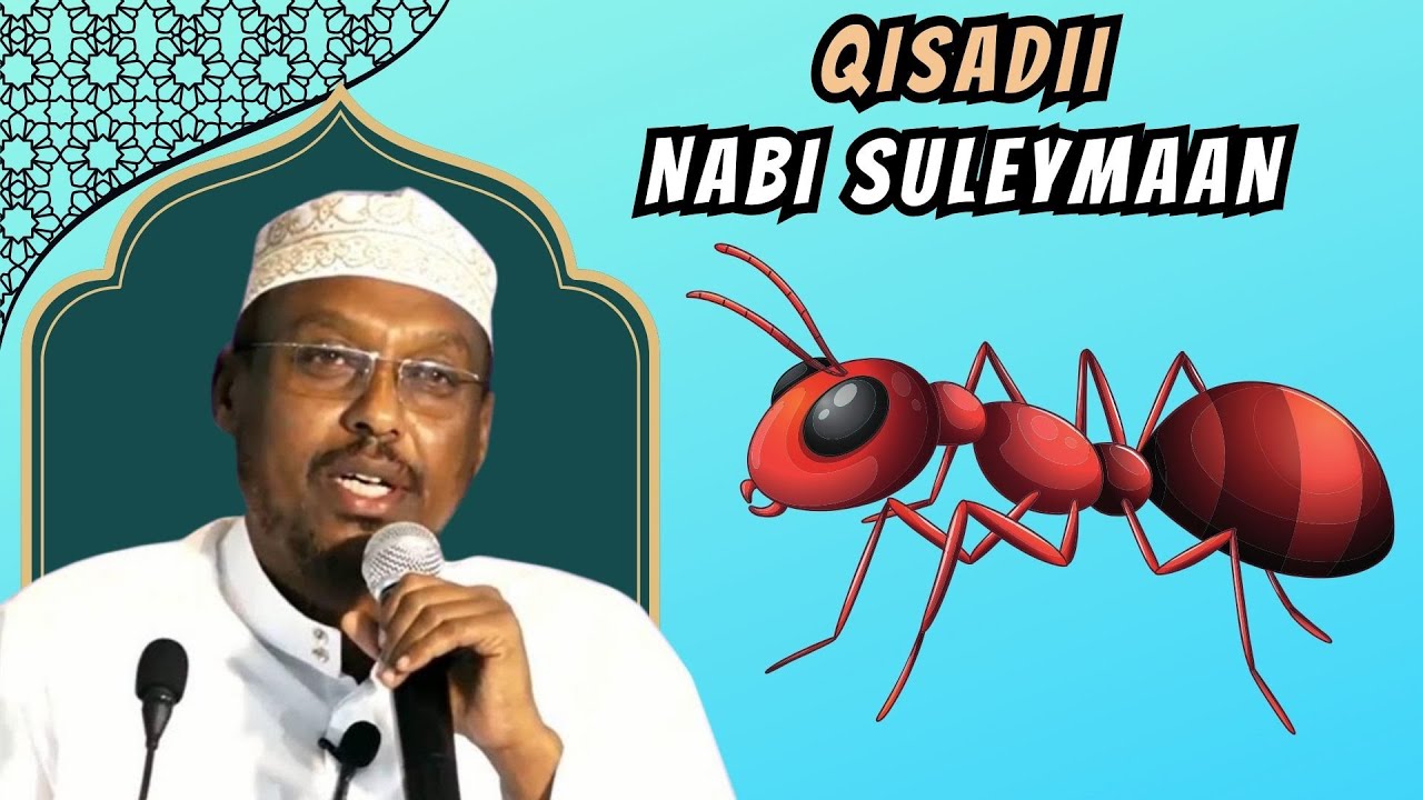 Muxaadaro Cusub┇Qisadii Dhex Martay Nabi Suleymaan Cs & Quraanjada┇► Sh Mustafe 2024