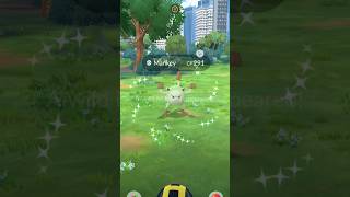 Catching Wild Shiny ✨Mankey✨ #pokemongo #shorts #viral #reels #video #feedshorts #viralshorts #feed
