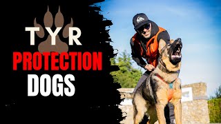 TYR Protection Dogs Loading... ( GSD; MALINOIS; BOERBOELS) by Elite Boerboels (Dog Breeding&Protection Training) 1,024 views 3 months ago 3 minutes, 46 seconds