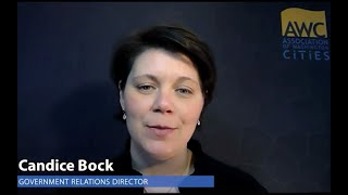 Learn how to sign in to testify on a bill remotely