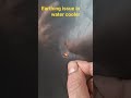 # earthing