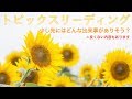 ⚠︎厳しい結果あり 🍀近い将来どんなトピックスが訪れそう?