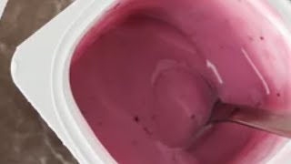 Yogurt Brands Ranked From Worst To Best