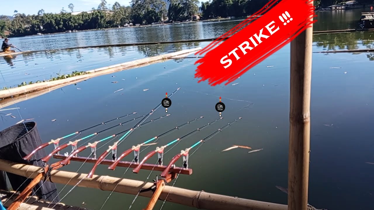 Mancing di Situ Cileunca: suasana dan hasil mancing yang tak terduga