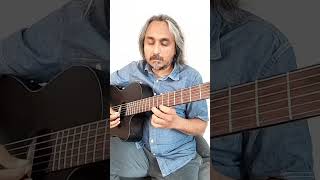 Raga shred - swan sound plus | (hamsadhwani) | Indian Guitar |
