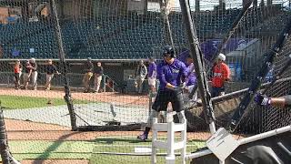 Gavin Sheets BP 4-12-2018