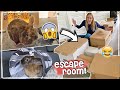 MEGA ESCAPEROOM 2.0 VOOR MIJN KONIJN MAKEN! BUNNY SLOOPT ALLES 😅 Vlog #62 | Daphne draaft door