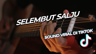 VIRAL DI TIKTOK !!! INSTRUMENTAL GITAR | SELEMBUT SALJU - HSP COVER VERSION