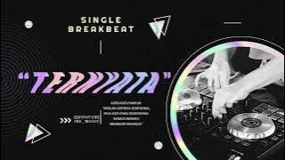 DJ TERNYATA BREAKBEAT || IBE_DJ