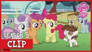 President Pipsqueak Diamond Tiaras Mom Crusaders Of The Lost Mark Mlp Fim Hd