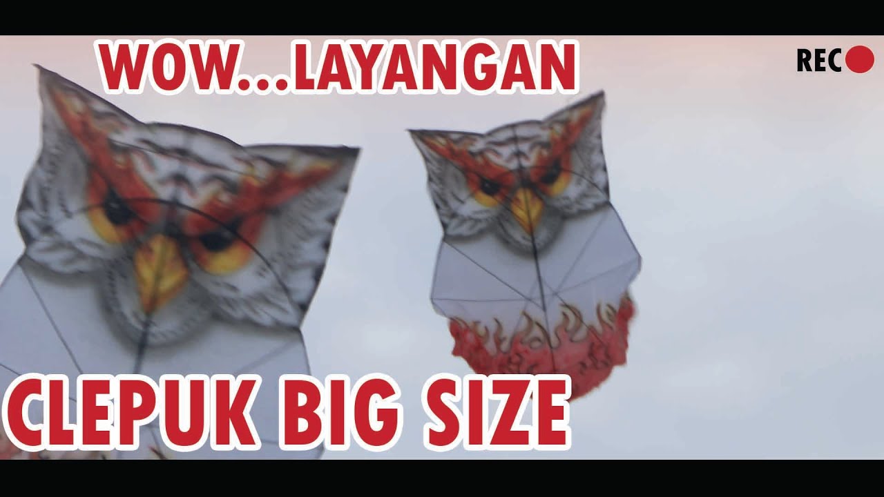 WOW..LAYANGAN CLEPUK BIG SIZE 4 MENGUDARA - YouTube