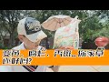 草坪突然变黄腐烂？夏季草病爆发，你该怎么办？