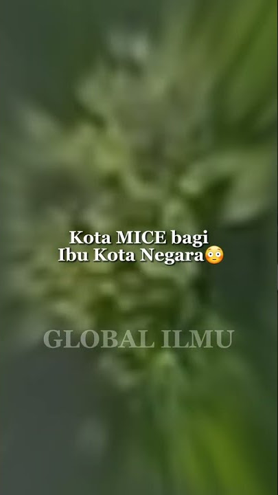 Beberapa Fakta Kota Banjarmasin, waduh yang terakhir ternyata banjarmasin sudah bukan...... 🧐??