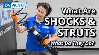 What are Shocks? What are Struts? Which Does Your Car or Truck Use?