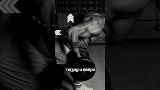 Тяга гантелей обратным хватом — мощное упражнение для широчайших мышц спины дома #тренировкадома